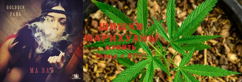 Шишки марихуана THC 21%  дарнет шоп  ссылка на мегу зеркало  Гороховец 